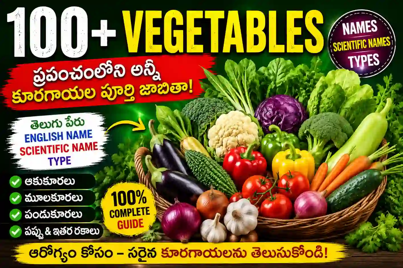 All Vegetables in World: ప్రపంచవ్యాప్తంగా ఉన్న కూరగాయల పూర్తి జాబితా