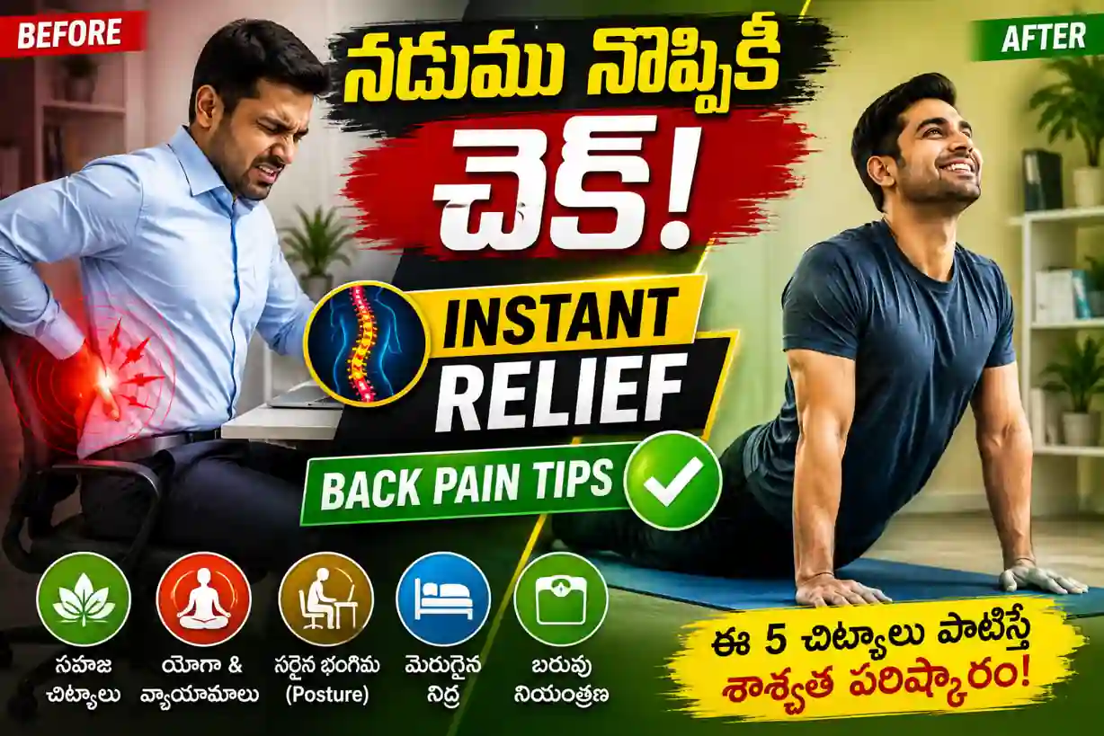 Back Pain Remedies in Telugu | నడుము నొప్పి నివారణ చిట్కాలు మరియు కారణాలు