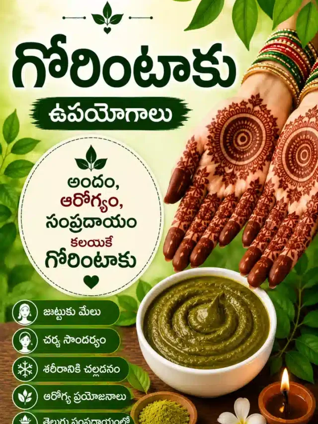 Gorintaaku Uses in Telugu | గోరింటాకు 15 అద్భుత ప్రయోజనాలు