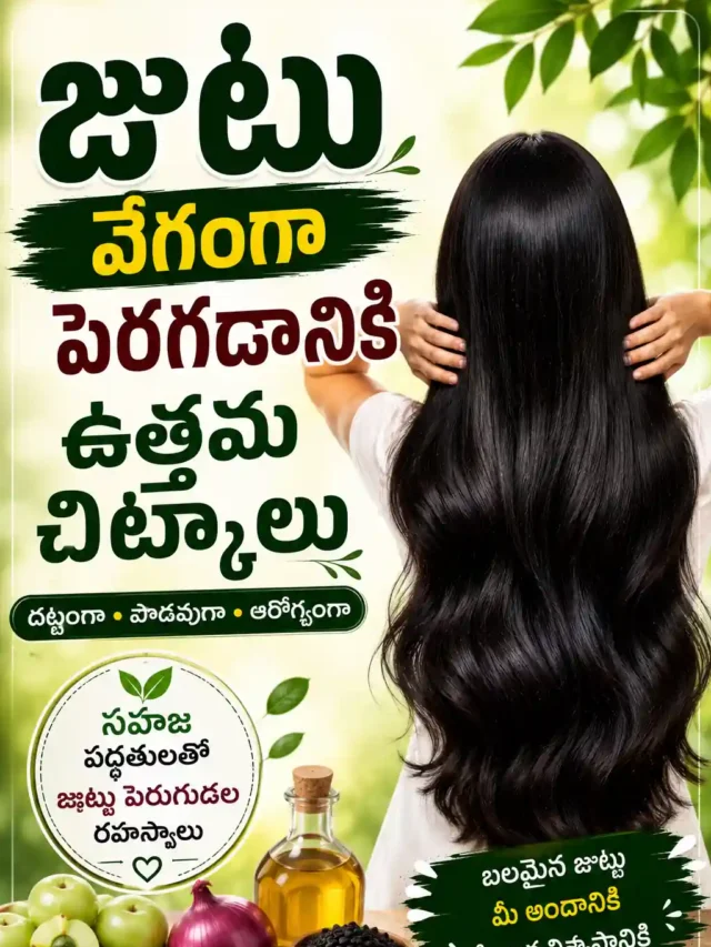 Hair Growth Tips Telugu:వెబ్ స్టోరీ జుట్టు వేగంగా పెరగడానికి ఉత్తమ చిట్కాలు