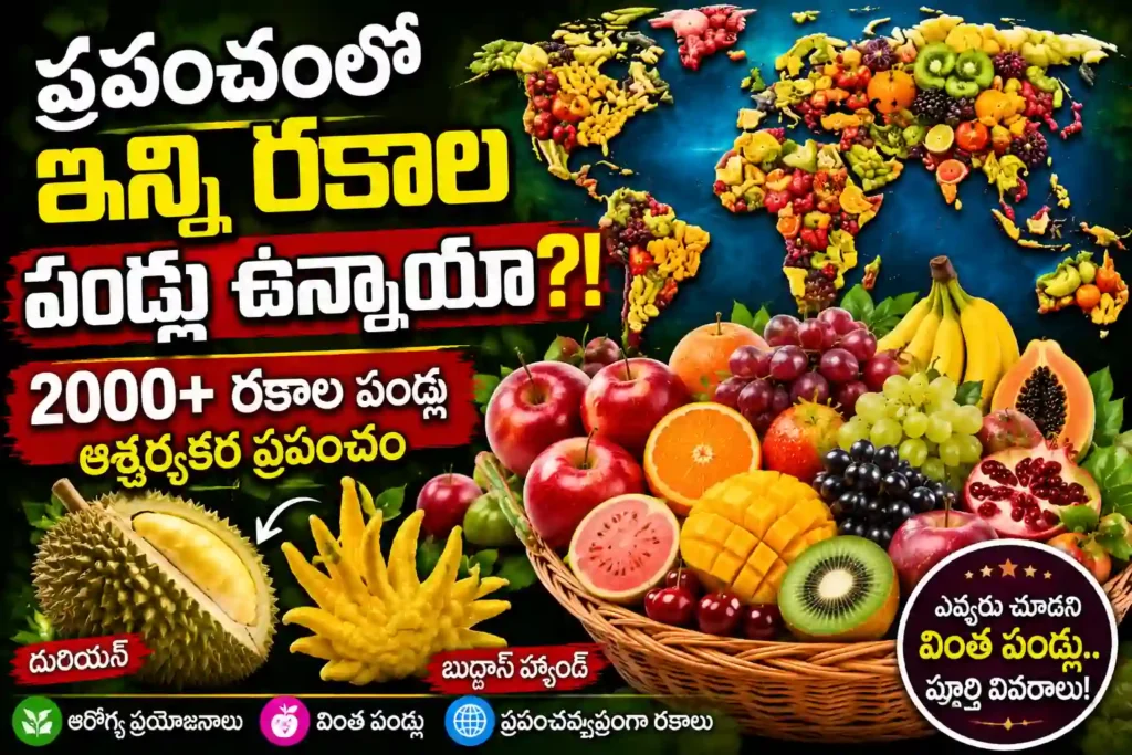 fruits world