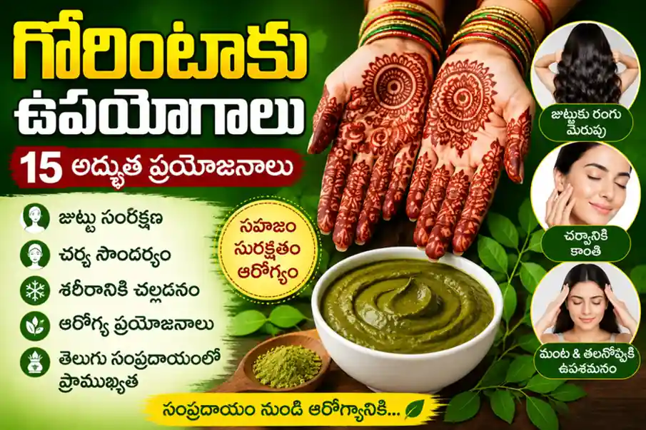 Gorintaaku benefits in Telugu – జుట్టు సంరక్షణ, skin care, cooling effect, and traditional uses of గోరింటాకు గురించి తెలుసుకోండి.