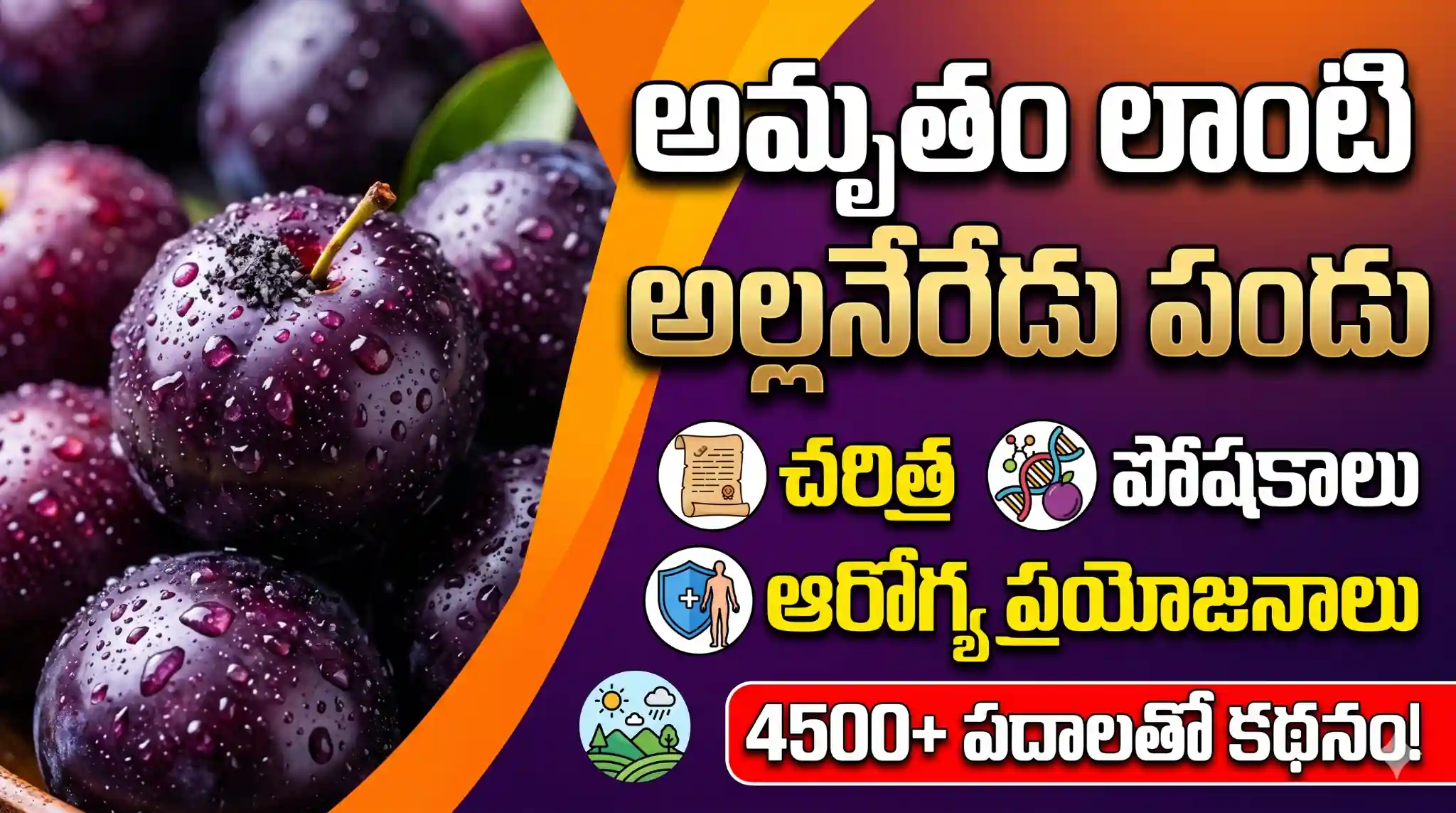 alla neredu pandu