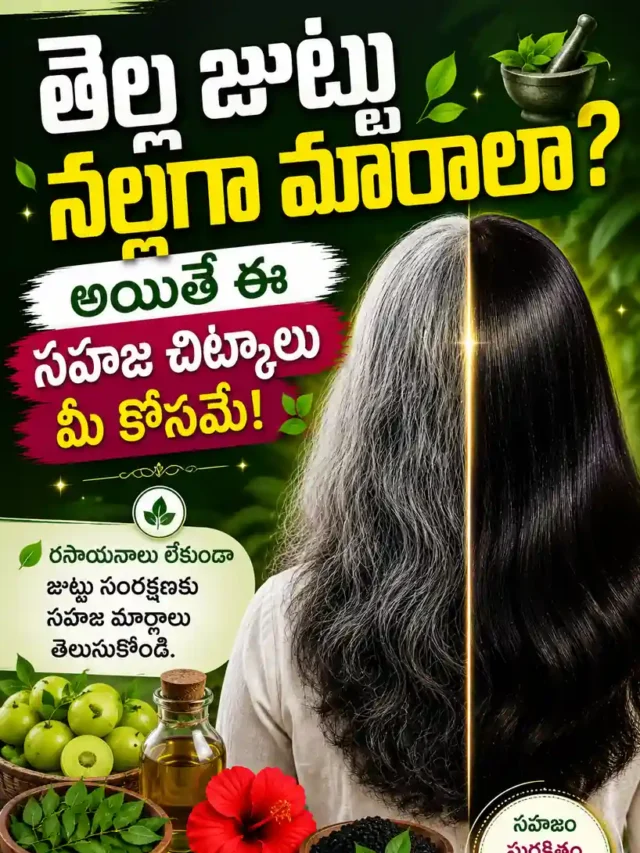 బూడిద జుట్టు నల్లగా మార్చడానికి ఆయుర్వేదం? grey hair to black naturally in telugu