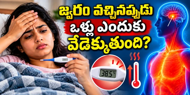 Science Facts:జ్వరం వచ్చినప్పుడు ఒళ్లు ఎందుకు వేడెక్కుతుంది? అసలు కారణం ఇదే