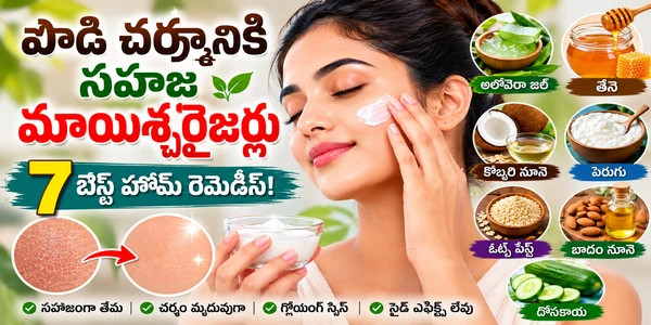 పొడి చర్మానికి సహజ మాయిశ్చరైజర్లు: 7 బెస్ట్ హోమ్ రెమెడీస్!