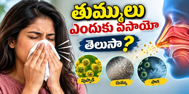 మనకు తుమ్ములు ఎందుకు వస్తాయి? అసలు కారణం ఇదే!