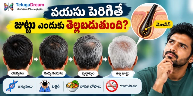వయసు పెరిగే కొద్దీ జుట్టు ఎందుకు తెల్లబడుతుంది? అసలు కారణం ఇదే