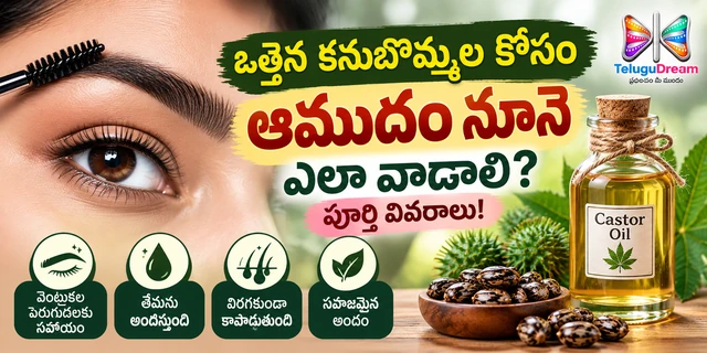 Castor Oil Benefits in telugu :ఒత్తైన కనుబొమ్మల కోసం ఆముదం నూనె ఎలా వాడాలి? పూర్తి వివరాలు!