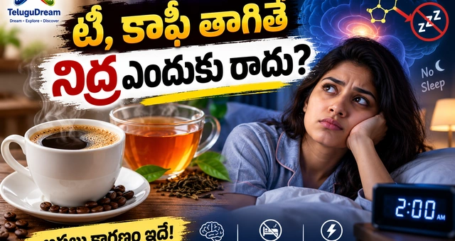 Science Facts in Telugu | టీ లేదా కాఫీ తాగితే నిద్ర ఎందుకు రాదు? అసలు కారణం ఇదే