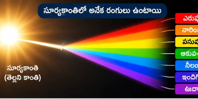 01 sunlight colors