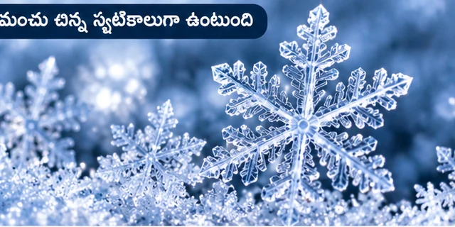 03 snow crystals