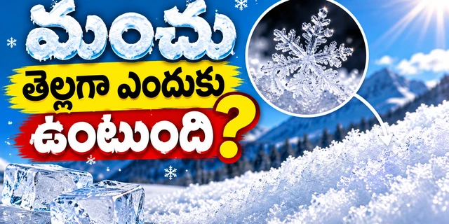 మంచు తెల్లగా ఎందుకు ఉంటుంది? నీరు పారదర్శకంగా ఉన్నా అసలు కారణం ఇదే!